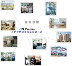 創(chuàng)衛創(chuàng)建類